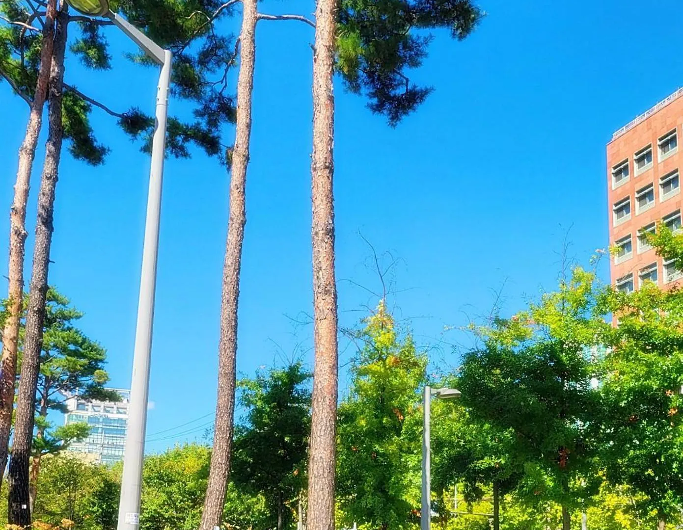 Park Stay #Hongdae Sinchon 10Min #Metro 3Min #3Beds Seoul